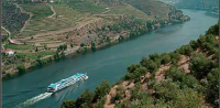 Amadouro