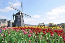 Amsterdam to Amsterdam aboard Royal Crown