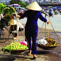 Vietnamese Lady