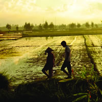 Mekong delta