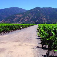 Wine valley