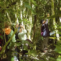 Exploring with locals