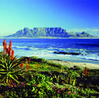 Table Mountain, Cape Town