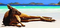 Western Australia