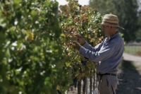 Wine & adventure in Argentina and Chile