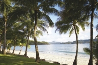 Hamilton Island - Catseye Beach 