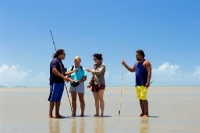 Daintree Dreaming