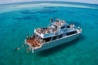 Ocean Freedom