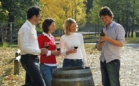 Wine Tasting at Hunter Valley