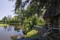 Botswana Wilderness Safari