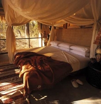 Sandibe Okavango Safari Lodge