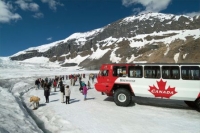 Ice Explorer on the Athabasca Glacier