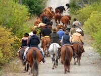 Elkin Creek Guest Ranch