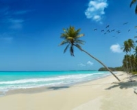 Caribbean idyllic beach