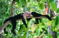 Costa Rica adventure holiday