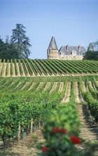 Bordeaux Wine-Tasting Breaks