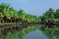 Kerala backwaters