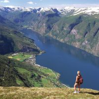 Norwegian Fjords
