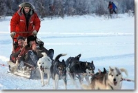 Kick Sleigh