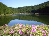 The Azores