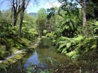 The Azores