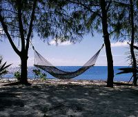 Denis Island 