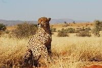 Western & Northern Cape Adventure