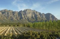 Franschhoek Winelands
