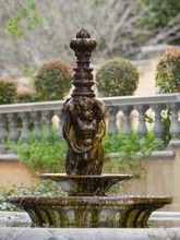 Franschhoek gardens