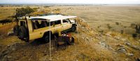 Tarangire Game Drive 