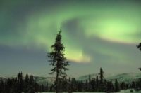 Alaska&rsquo;s Northern Lights