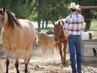 Wildcatter Ranch, Dallas, Texas