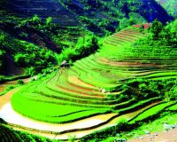 Sapa in Style, Vietnam