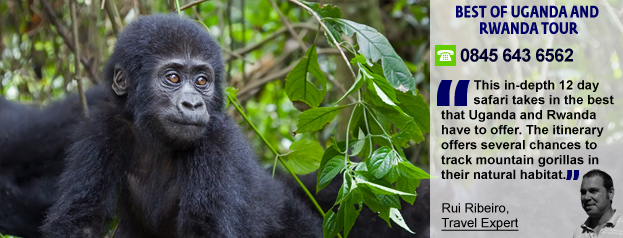 BEST OF UGANDA &
RWANDA TOUR