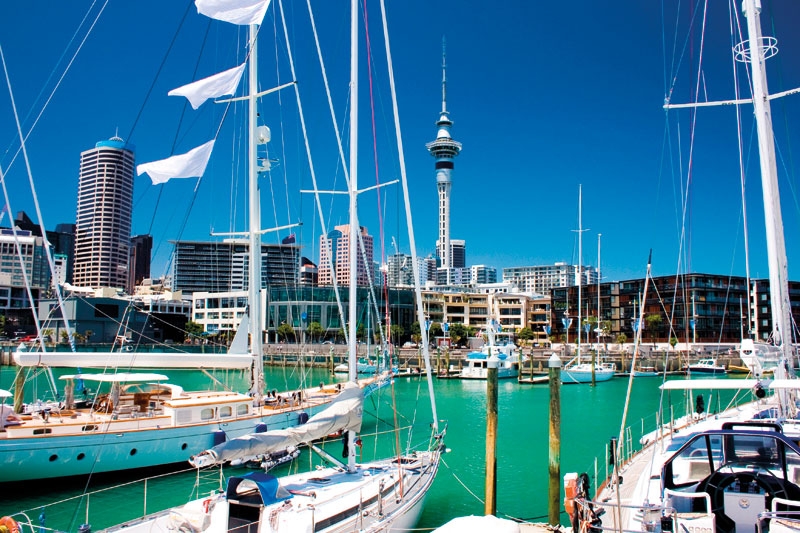 Highlights of the North Island 