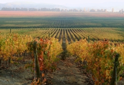 Wine & adventure of Argentina & Chile