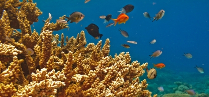 Great Barrier Reef