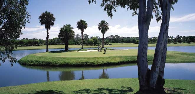 The Palms