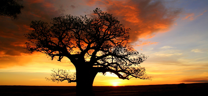 The Kimberley Complete