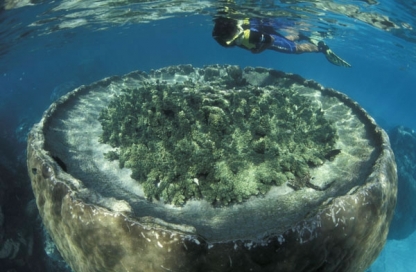Sal Salis - Snorkelling