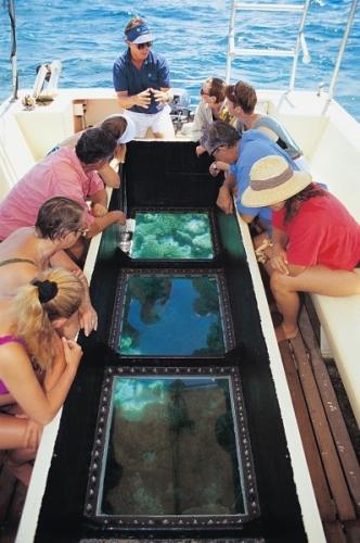 Coral Princess Cruise - Great Barrier Reef