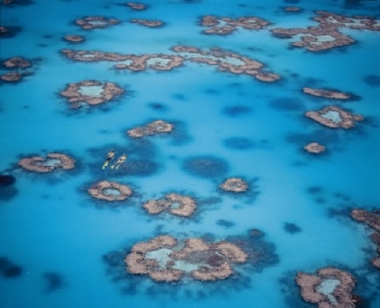 Heron Island Snorkelling
