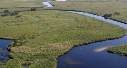 Okavango Delta