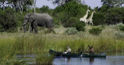 Mokoro safari