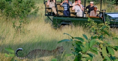 Leopard spotting