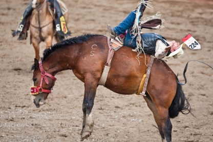 Calgary Stampede
