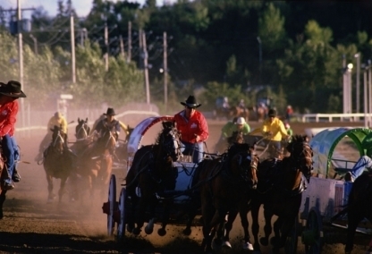 Calgary - Chuckwagon Races