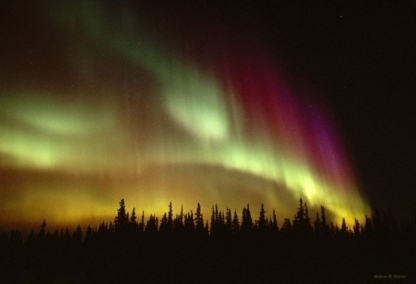 Northern Lights & Winter Nights