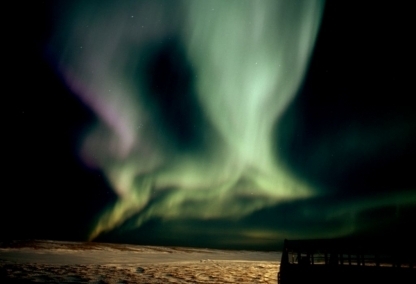 Northern Lights & Winter Nights