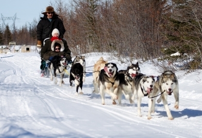 Dog sledding